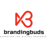Web Designer Portfolio